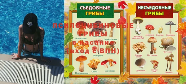 кокс Арсеньев